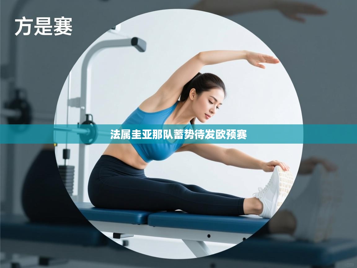 法属圭亚那队蓄势待发欧预赛 第2张