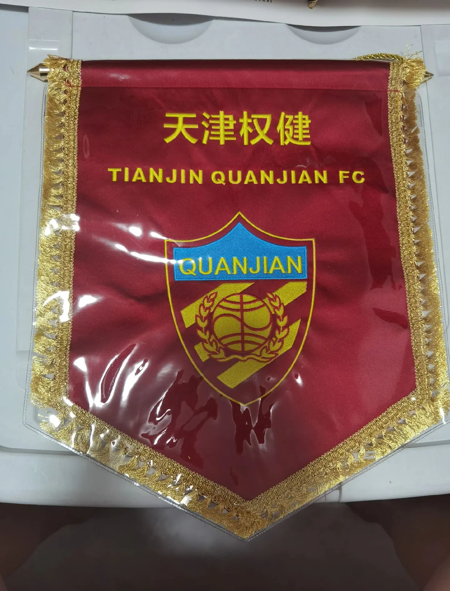 天津天海实力再升级，球迷期待迎来更大胜利的简单介绍